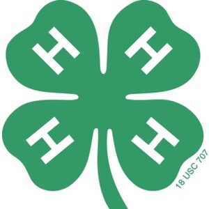 Clay County 4-H Development Fund